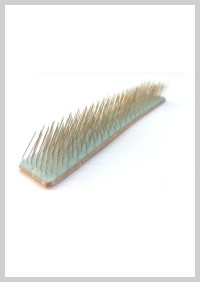 trützchler şapka temizleme fırça teli, trützchler tarak temizleme fırça teli, trützchler tarak fırça teli ,tarak fırça teli , tarak fırça , tr-ds fırça teli , tr-dp fırça teli ,