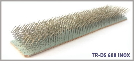 tarak fırça telleri,şapka temizleme fırça telleri , tarak fırça telleri, fırça telleri, tarak fırçaları, Graf trutzschler tarak fırça telleri, Graf trutzschler fırça telleri, Graf trützschler fırça, graf trützschler tarak fırça, trutzschler tcc tarak fırça, 
Trützschler fırça telleri, graf trutzschler fırça telleri , Trutzschler fillet , Trutzschler flat fillets, Trützschler fırça, Trützschler fırça teli, 56049471, 56049458 , 56048193
graf trutzschler , sarteks, sarteks trutzschler fırça telleri , TCC trutzschler  tarak fırça telleri , ICC trutzschler tarak fırça telleri ,tarak trützschler temizleme fırça teli, 
trützschler tarak temizleme fırça teli, Trutzschler tr-dp şapka temizleme fırça teli,Trutzschler tr-ds şapka temizleme fırça teli , Trutzschler tr-ap ön alıcı teli temizleme fırça teli,
Trutzschler fırça telleri, trützschler tarak temizleme fırça telleri, trutzschler TR-DP, trutzschler TR-DS, trutzschler TR-AP,trutzschler tarak şapka temizleme fırça telleri,Trützschler tarak temizleme fırça telleri, TARAK ŞAPKA TEMIZLEME FIRÇA TELLERİ,  TCC tarak temizleme fırça telleri, Trutzschler fillet, TC11 tarak fırça telleri, TC07 tarak fırça telleri, TC03 tarak fırçaları, 
 DK803 tarak temizleme fırça telleri, DK903 tarak temizleme fırça, graf tarak fırçaları, tr dp fırça telleri, tr ds fırça telleri, tr ap tarak fırça telleri , 56049458 , 46048193 , 56049471 , art no: 56049458, art no:46048193
 art no:56049471 , telleri, TC03 tarak temizleme fırça telleri, trützschler tarak temizleme fırça teli, Trutzschler card fillets,trützschler tarak temizleme fırça teli, Trutzschler tr-dp şapka temizleme fırça teli, trützschler tr-ds,
Trutzschler şapka temizleme fırça teli , trützschler tr-ap ön alıcı teli temizleme fırça teli, trutzschler fırça telleri, Trutzschler DK803 tarak temizleme fırça telleri, Trutzschler Graf tarak fırça telleri,
 Graf trützschler fırça telleri, Graf Trützschler fırça, graf Trutzschler tarak fırça, tcc trutzschler tarak fırça,tarak el temizleme fırçası, 18 numara doffer el fırçası, 22 numara doffer el fırçası , tarak el fırçası, tarak doffer fırçası, tarak 18 el temizleme fırçası, tarak 18 numara el temizleme fırçası, tarak 22 numara el temizleme fırçası,
		 tarak 18 numara el fırçarı tarak 18 numara doffer fırçası , tarak 22 numara doffer fırçası , tarak doffer 22 numara el fırçası , graf el fırçası , el graf tarak el fırçası , beakart doffer el fırçası , 18 numara fırça,
		  22 numara fırça, red man el fırçası , red man tarak el fırçası , trutzchler tarak el fırçası, sarteks tarak el fırçası, red man fırça, dörtaral fırça, myt doffer fırça, Kesler Makina Ltd. Şti., Arı Mümessillik İç ve Dış Ticaret, Rieter C70 tarak fırça telleri, Rieter tarak fırça telleri, rieter fırça telleri,rieter c60 fırça telleri, rieter c50 fırça telleri,
 rieter tarak temizleme fırça telleri, tarak temizlik fırça telleri, rieter fırça telleri, rieter şapka temizleme fırça telleri, Graf tarak fırça telleri, Graf fırça telleri, Graf fırça, graf tarak fırça, 
 tcc tarak fırça, Graf C70 şapka fırça teli, graf c70 fırça, graf fırça , tr dp fırça teli , tr ds fırça teli, tarak el temizleme fırçası, 18 numara doffer el fırçası, 22 numara doffer el fırçası , tarak el fırçası, tarak doffer fırçası,
  tarak 18 el temizleme fırçası, tarak 18 numara el temizleme fırçası, tarak 22 numara el temizleme fırçası, tarak 18 numara el fırçarı tarak 18 numara doffer fırçası , tarak 22 numara doffer fırçası , tarak doffer 22 numara el fırçası ,
   graf el fırçası , el graf tarak el fırçası , beakart doffer el fırçası , 18 numara fırça, 22 numara fırça, red man el fırçası , red man tarak el fırçası , trutzchler tarak el fırçası, sarteks tarak el fırçası,
    red man fırça, dörtaral fırça, myt doffer fırça, Rieter cleaning fillet, rieter flat cleaning fillet, rieter c70 card cleaning fillet, Rieter cleaning fillet ,rieter tarak fırça telleri, rieter c70 tarak fırça telleri, rieter tarak temizleme fırçaları, rieter şapka temizleme fırça teli, rieter tarak şapka temizlemeyi temizleyen fırça telleri 
	, rieter graf fırça telleri, graf fırça telleri, tr-dp fırça telleri, trutzchler fırça telleri, trutzchler şapka temizlemeyi temizleyen fırça telleri,tarak fırçaları, inox şapka telleri, inox şapka fırçaları,c70 fırçaları, c80 fırçaları,Rieter stripping fillet, flat pre-cleaning fillet,Rieter cleaning fillet, rieter flat cleaning fillet, rieter c70 card cleaning fillet, Rieter cleaning fillet , c60 tarak fırça teli, rieter c60 tarak fırça telleri, 
	riter c60 fırça , rieter c60 uzun fırça, rieter c60 tarak uzun fırça, 1,5m tarak fırça , 56048193 , 56049158 , 56049471 , 33205055R , 33205052 , 33205053 , flat stripping , 1545 x 26 mm , trutzhler tarak şapka temizleme fırçaları, groz beckeart fırça telleri,
	groz fırça telleri, alman fırça telleri, 56048193 , 56049158 , 56049471 , 33205055R , 33205052 , 33205053 , flat stripping , 1545 x 26 mm , trutzhler tarak şapka temizleme fırçaları, groz beckeart fırça telleri,
	groz fırça telleri, alman fırça telleri, ön alıcı temizleme fırça teli, c70 fırça teli, c60 fırça teli, c85 fırça teli , dk803 fırça teli , dk903 fırça teli, tc03 fırça teli, tc 07 fırça teli , trutzchler fırça teli, rieter tarak fırça telleri, 
	no18 fırça teli, graf fırça telleri, ithal fırça telleri,